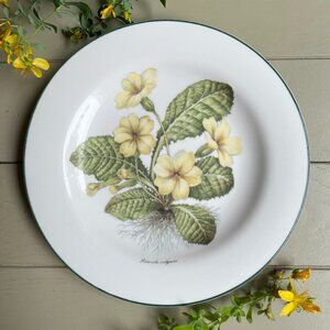 Royal Vale Primula Vulgaris Collector Plate Botanical Pattern Made in England